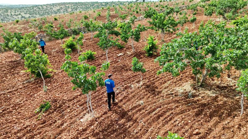 500 kişilik ekiple aranıyor: 10 yaşındaki çocuktan iz yok!