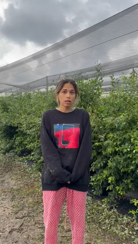 Kadın üretici seraya girdi ellerini başının arasına alıp ağladı! 45 dakikada dünya başına yıkıldı