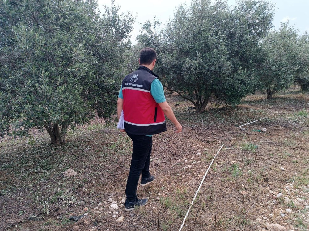 Kadın üretici seraya girdi ellerini başının arasına alıp ağladı! 45 dakikada dünya başına yıkıldı