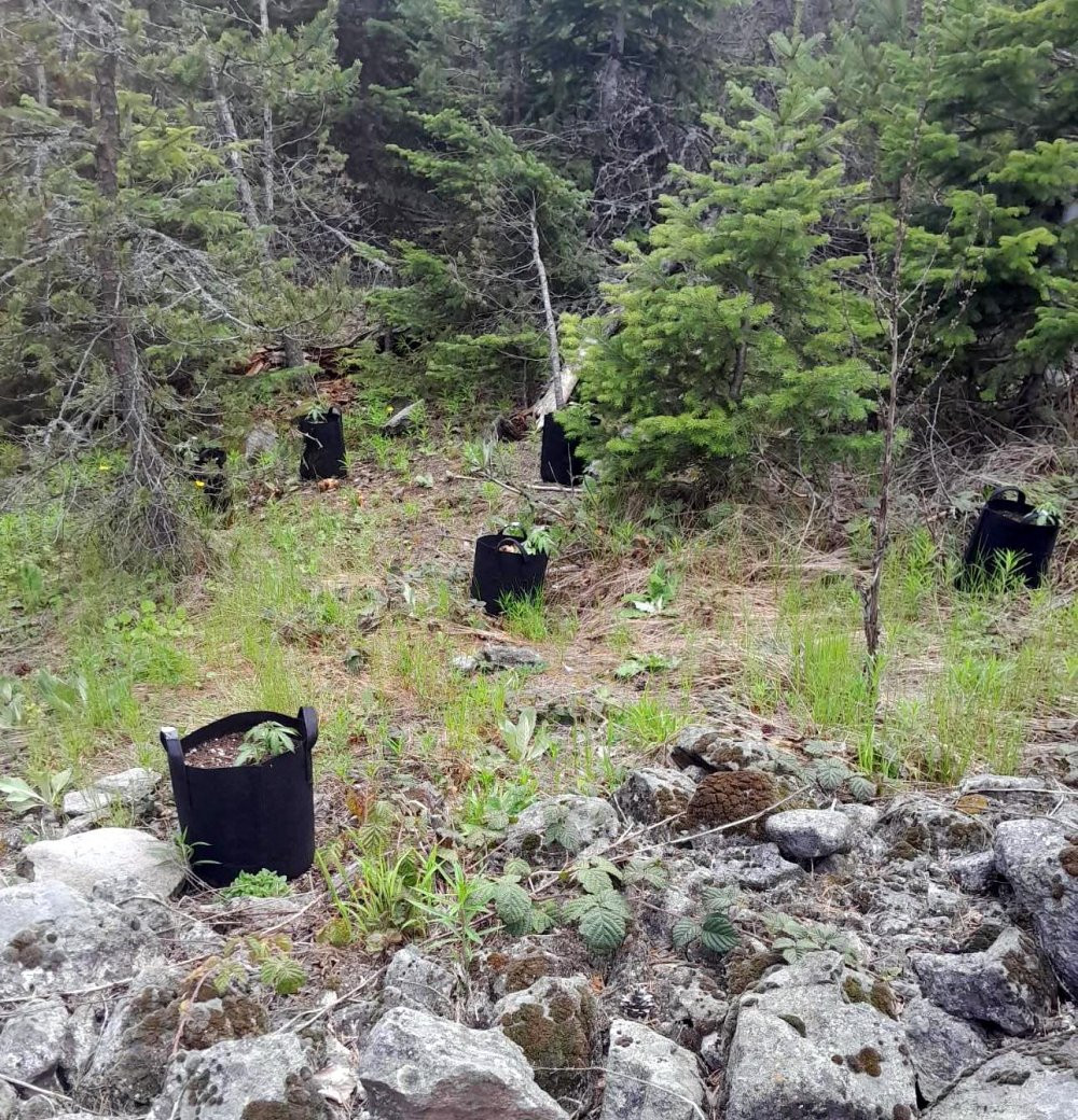 Pet şişelerle su taşıyordu! Gerçek bambaşka bir şey çıktı
