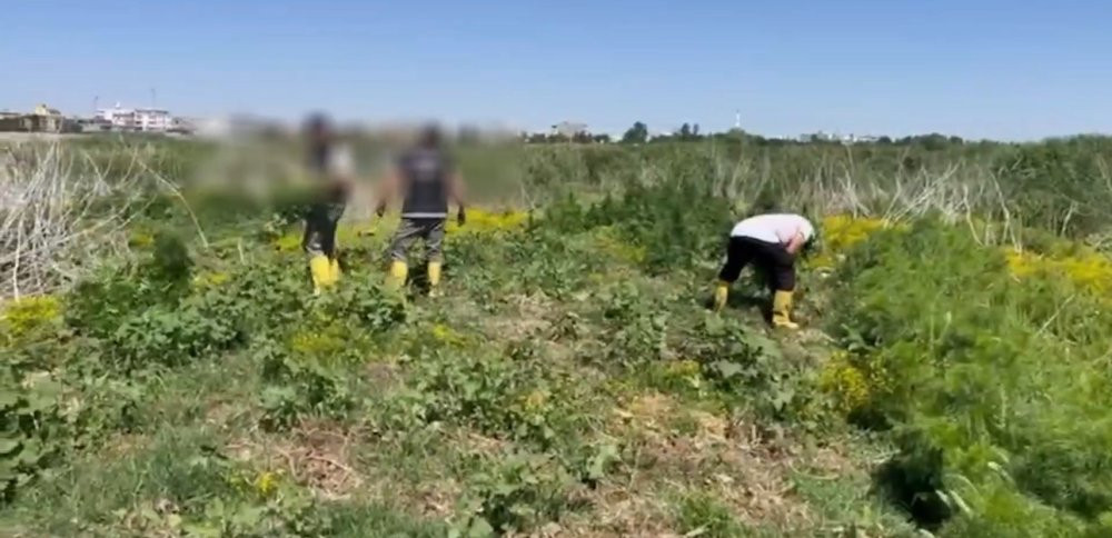 100 milyon lira değerinde: Dicle’nin sırları ortaya çıktı