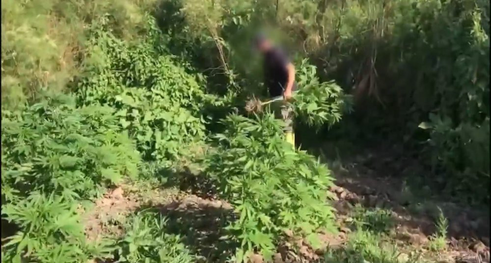 100 milyon lira değerinde: Dicle’nin sırları ortaya çıktı