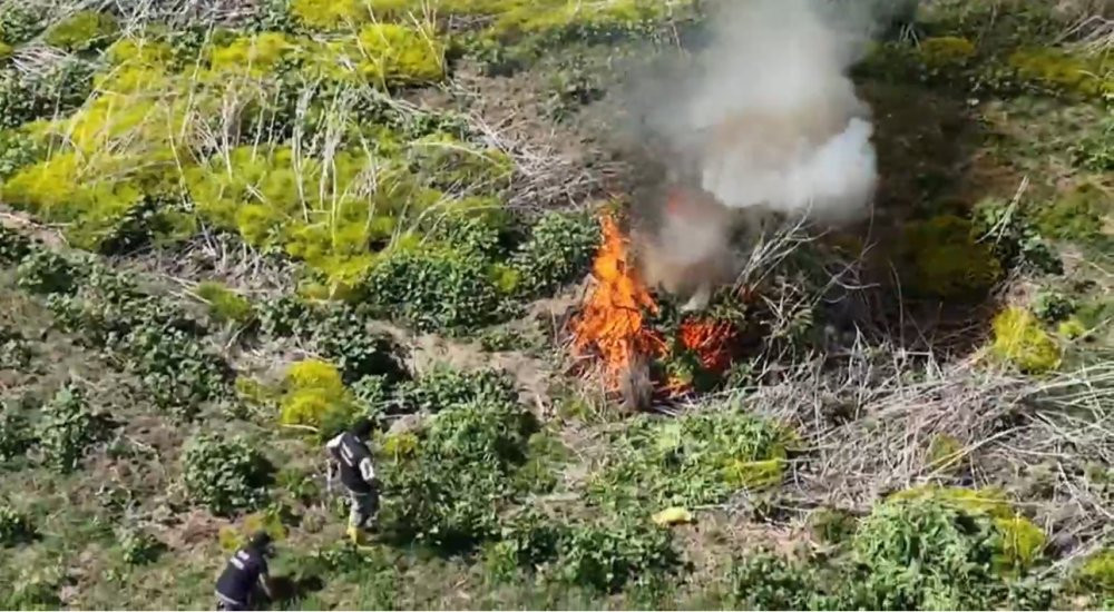 100 milyon lira değerinde: Dicle’nin sırları ortaya çıktı