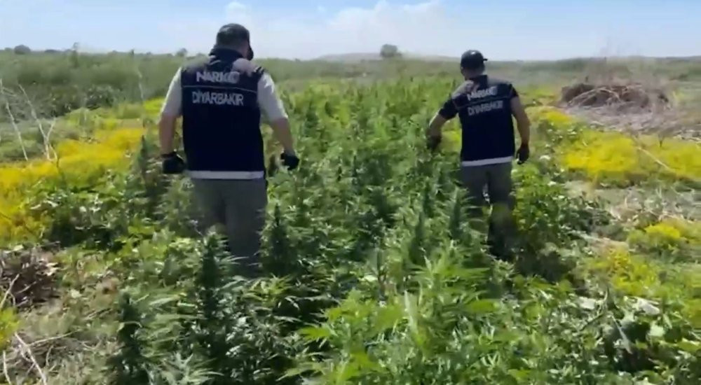 100 milyon lira değerinde: Dicle’nin sırları ortaya çıktı