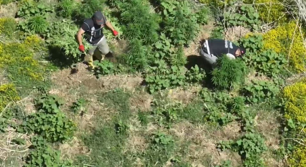 100 milyon lira değerinde: Dicle’nin sırları ortaya çıktı