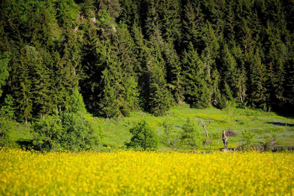 ’Sakin Şehir’ Şavşat’tan kartpostallık görüntüler