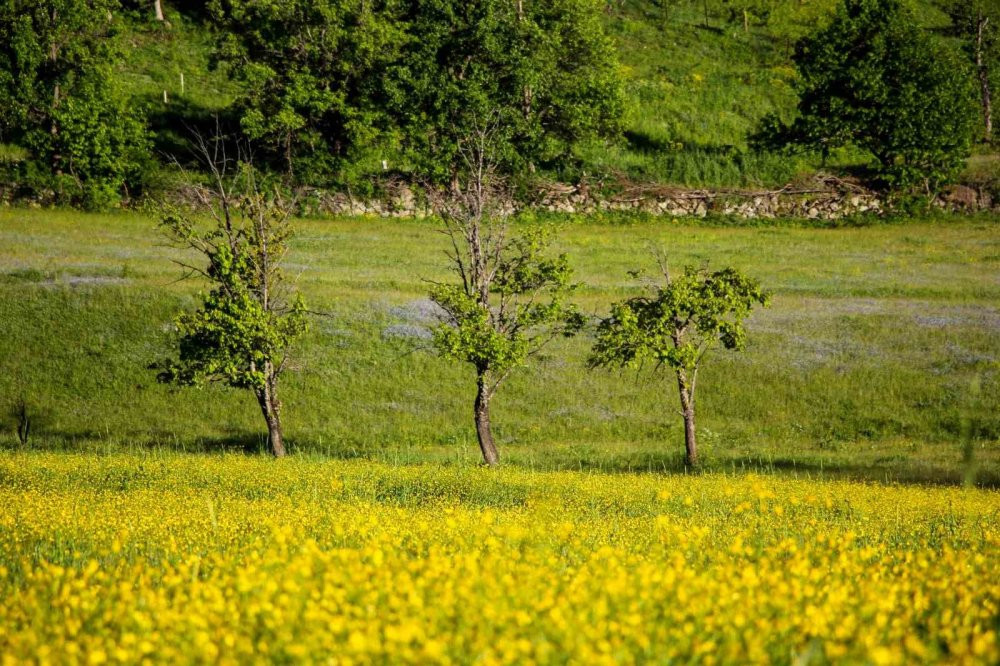 ’Sakin Şehir’ Şavşat’tan kartpostallık görüntüler