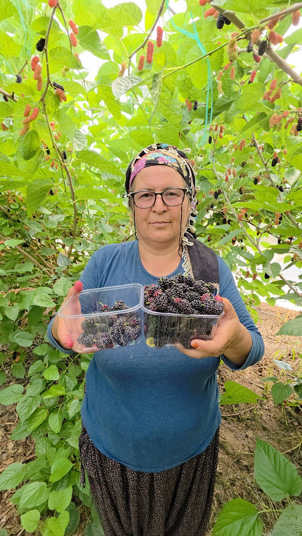 Üreticilerin yüzünü güldürdü! Dubai ve Katar’ı fethetti