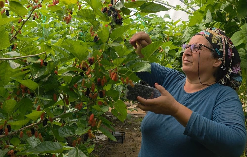 Üreticilerin yüzünü güldürdü! Dubai ve Katar’ı fethetti