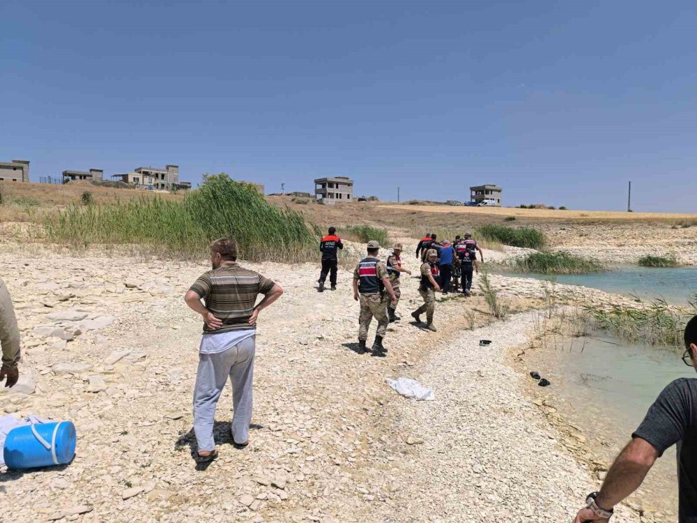 Fedakârlık ölümle bitti! Yeğenini kurtarmaya çalışıyordu