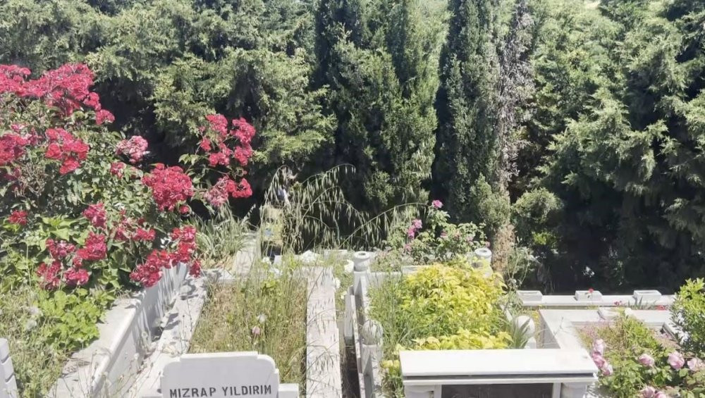 İstanbul'da tüyler ürperten olay! Mezarlıkta 3 aylık erkek bebek cesedi bulundu