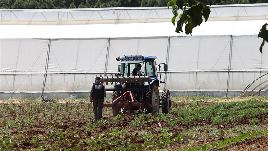 toprak-mahsulleri-ofisinden-ciftcilere-kritik-uyari-randevu-alin-yenicag-2.jpg
