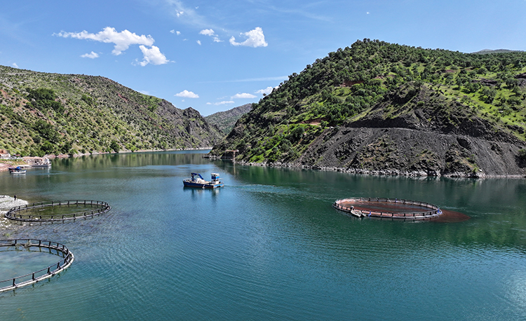 2025-06-02062025-somon3.jpg