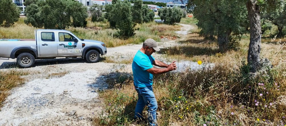 Tülüşah’ı koparanın vay haline! 557 bin TL cezası var: Özel izinle dokunuluyor