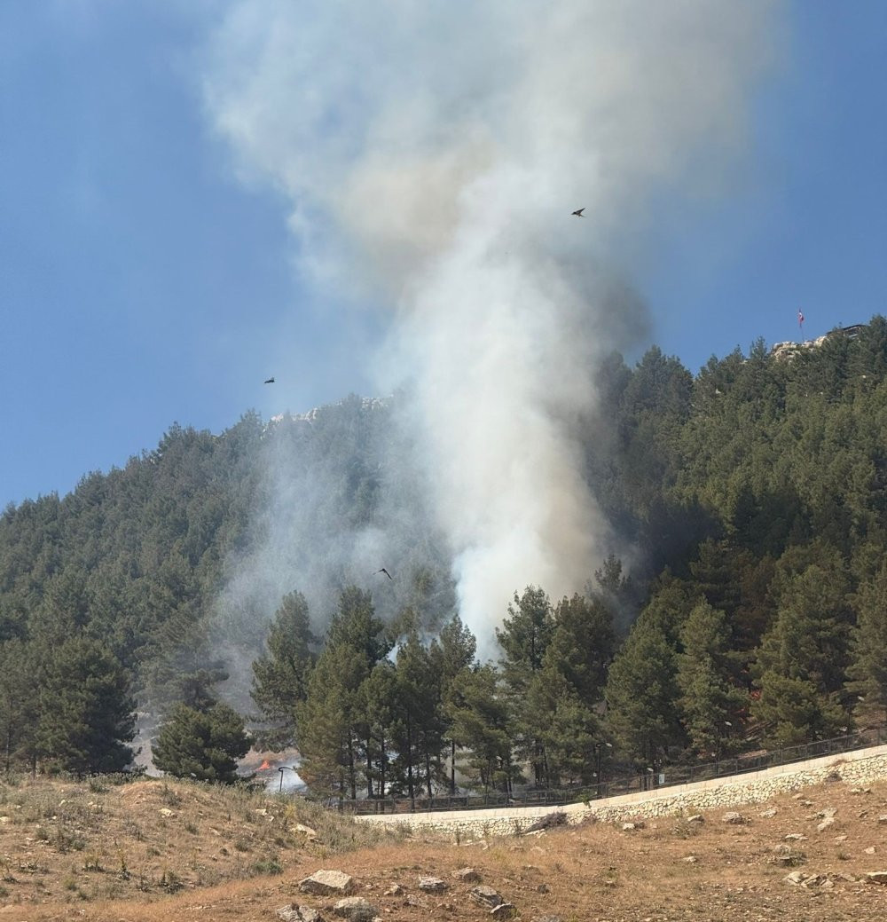 Adıyaman'da ormanlık alanda çıkan yangın korkuttu