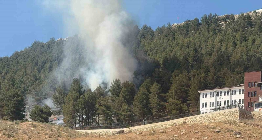 Adıyaman'da ormanlık alanda çıkan yangın korkuttu