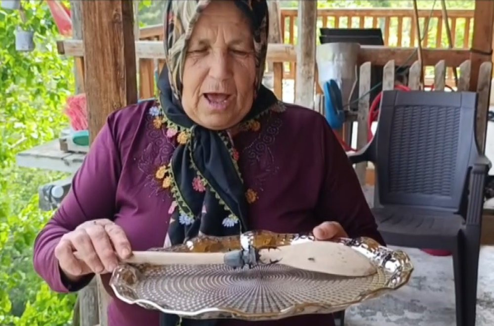 100 bin dolarlık böcek eve girdi! Türkiye bu olayı konuşuyor: Kırmızı listede yer alıyordu