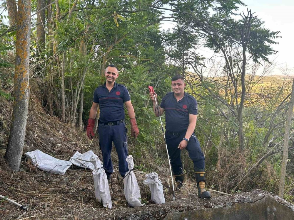 Balıkesir'de engerek mesaisi