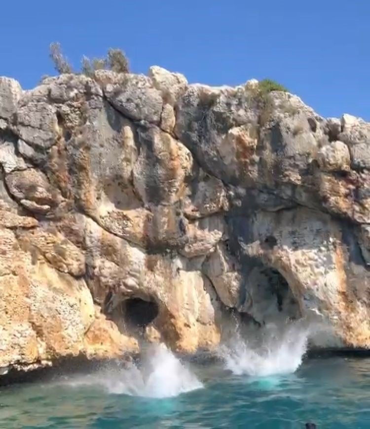 Tatilciler, mağarada şirin sürpriz: Akdeniz fokuyla karşılaştılar