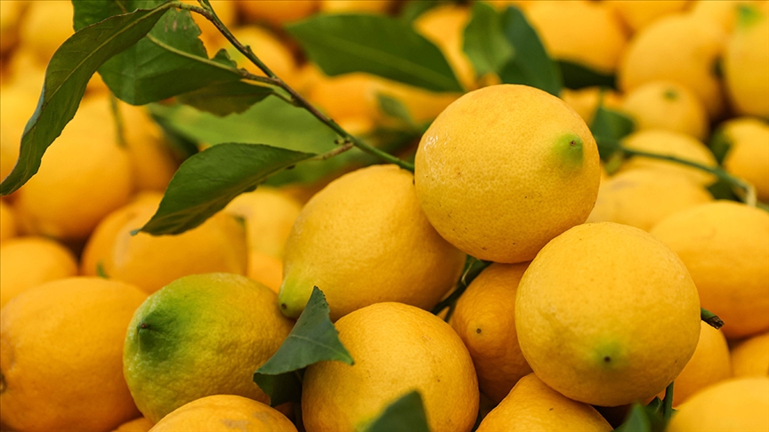limon.jpg
