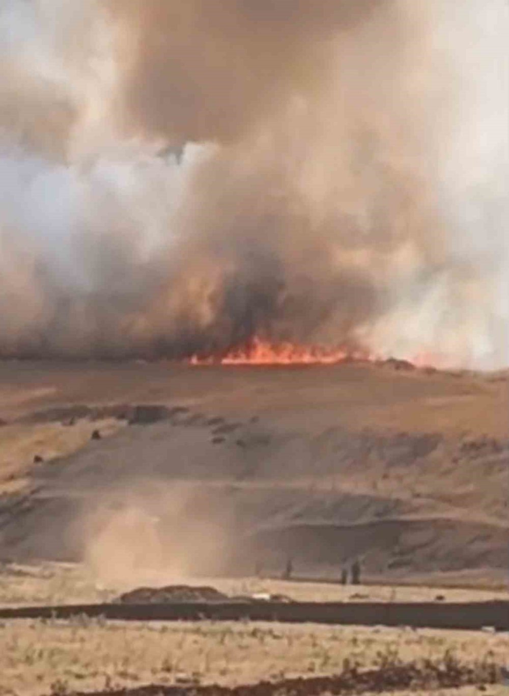 Mardin’de orman yangını devam ediyor