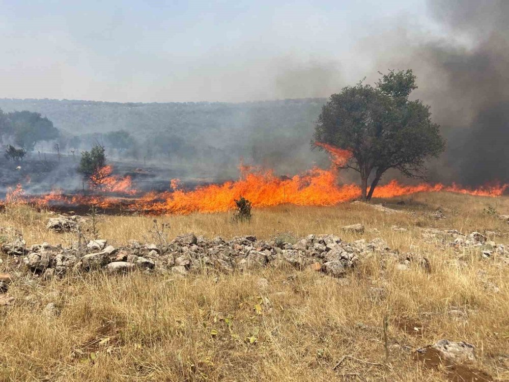Mardin’de orman yangını devam ediyor
