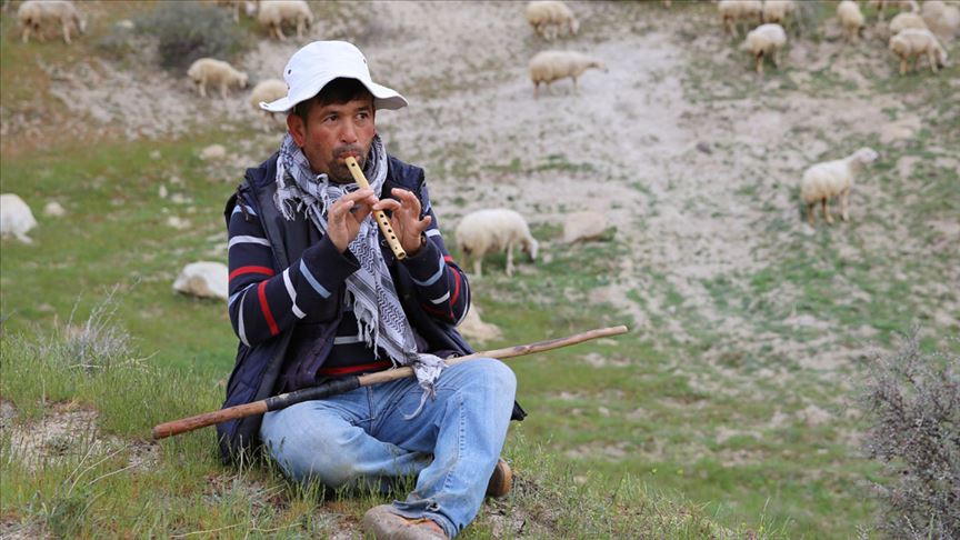 tarimda-skandal-karar-sgk-uzmani-cenkci-uyardi-ithal-coban-kayit-disiligi-artirir-prim-kaybina-yol-acar-yenicag-6.jpg