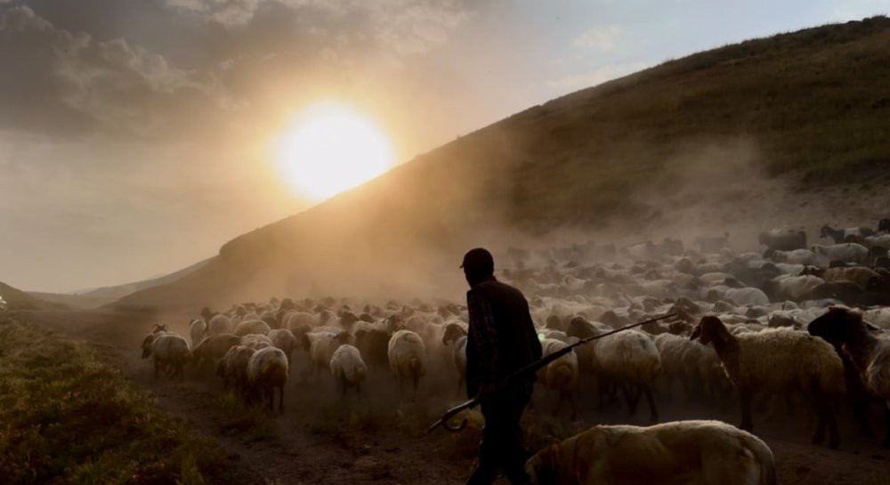Sürülerin geleneksel tozlu yolculuğu başladı