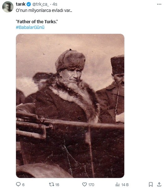 f1.jpg