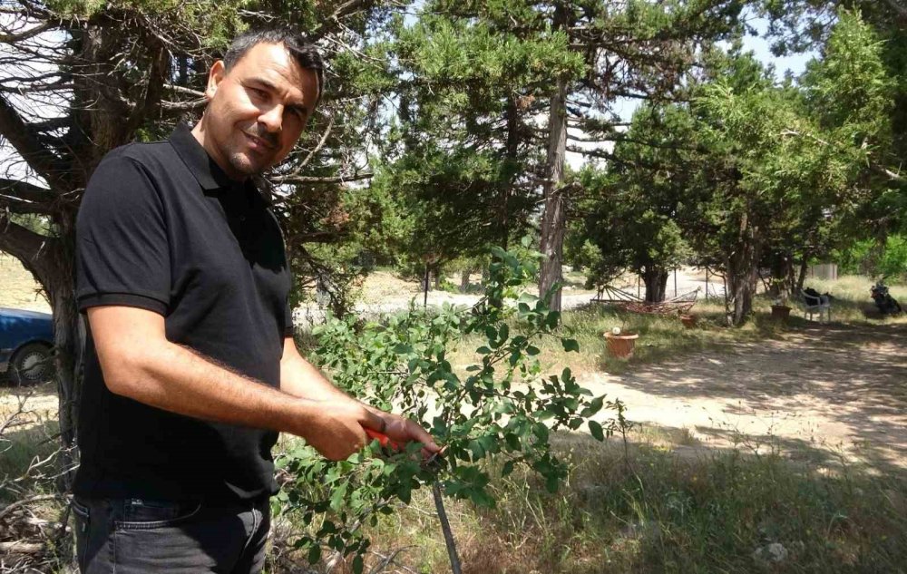 Ölmeden ölüm haberi paylaşıldı! Sebebini duyunca şoke oldu!