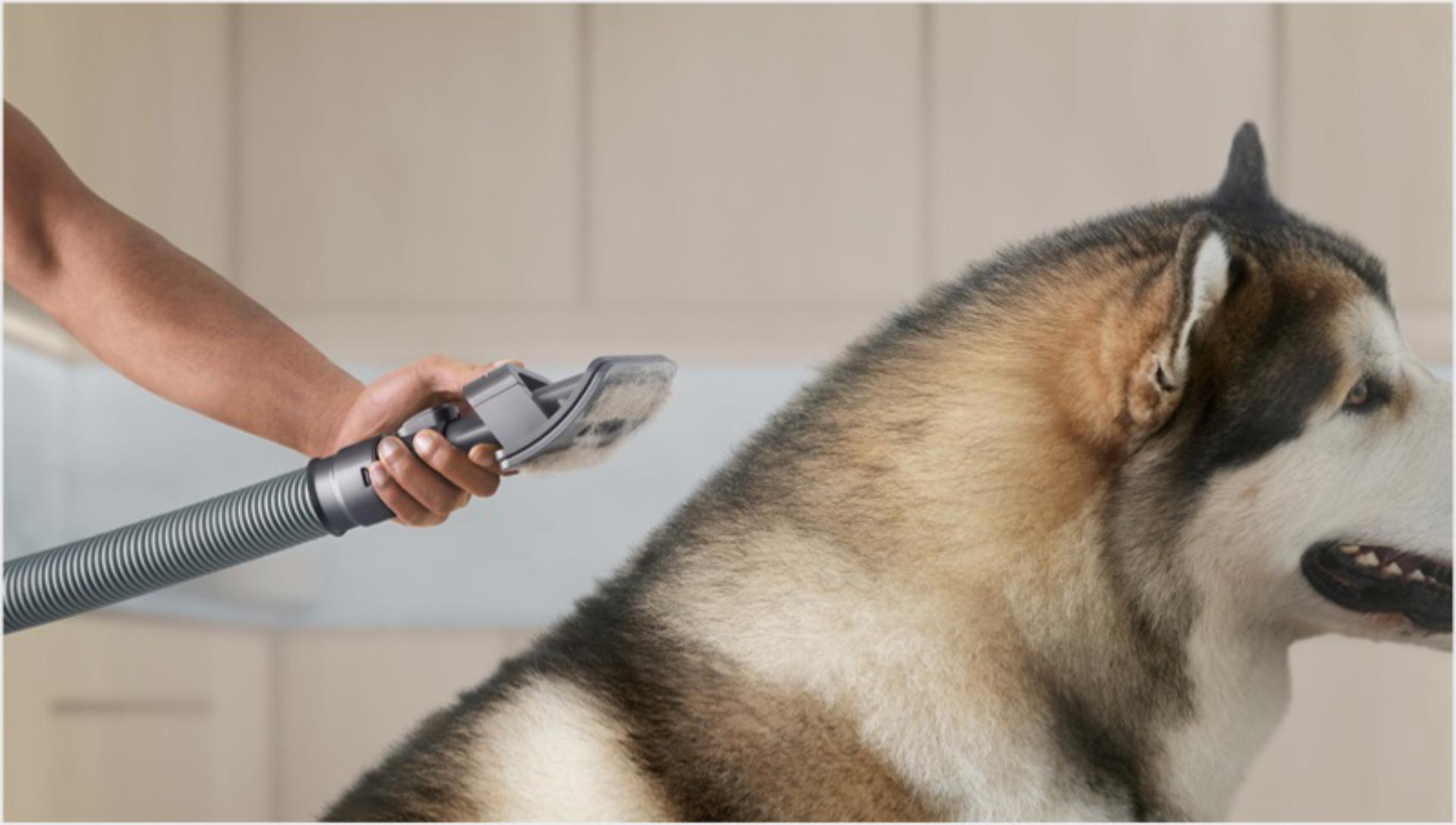 pet-grooming-kit-owners-page-mod3-feature-stack-01.jpg