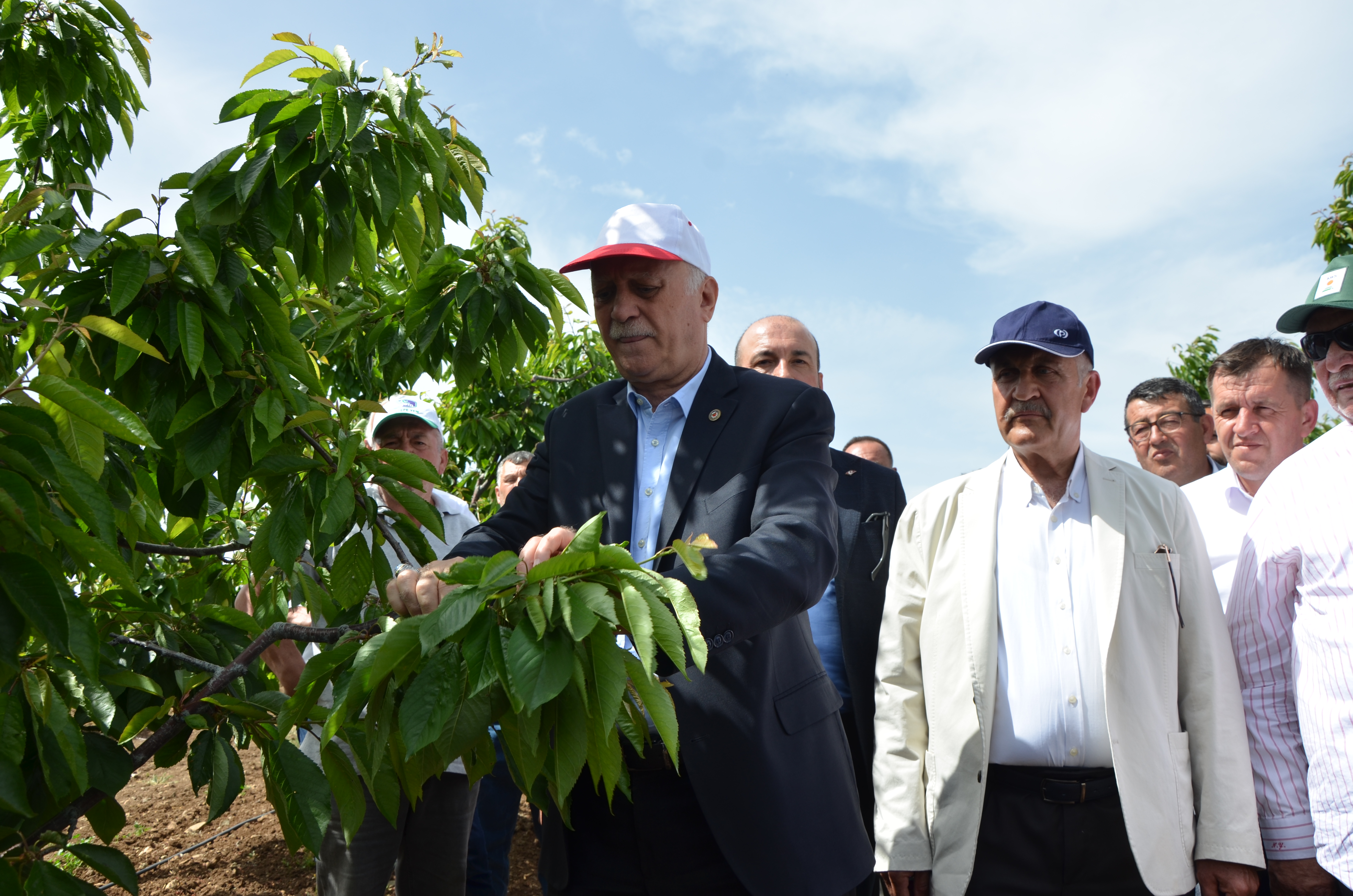 zirai-donun-vurdugu-kiraz-eskisehirde-771023-227711.jpg