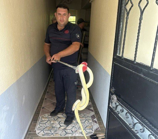 Davetsiz misafir korkuttu! Gönen'de bir eve sızdı, itfaiye alarma geçti