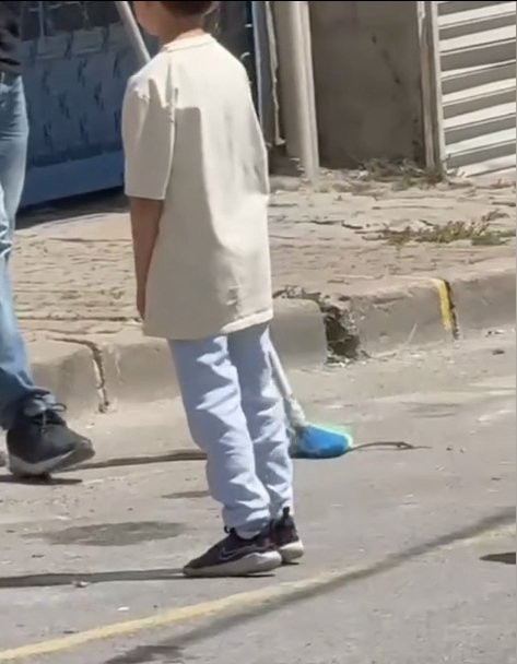 İstanbul’da yılan paniği: 7 ilçe diken üstünde! İhbarlar artırıyor: Ev, işyeri, sokaklar…