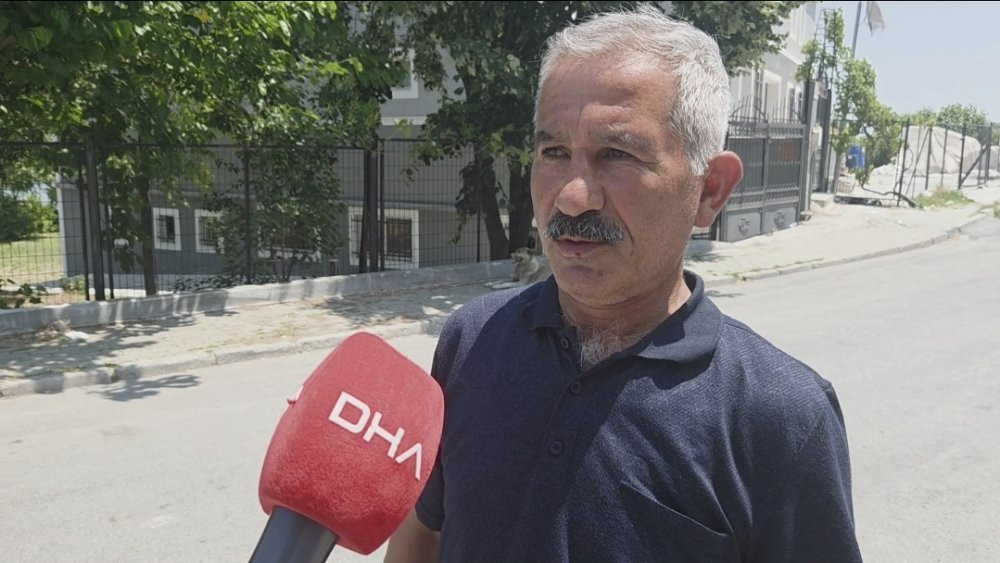 İstanbul’da yılan paniği: 7 ilçe diken üstünde! İhbarlar artırıyor: Ev, işyeri, sokaklar…