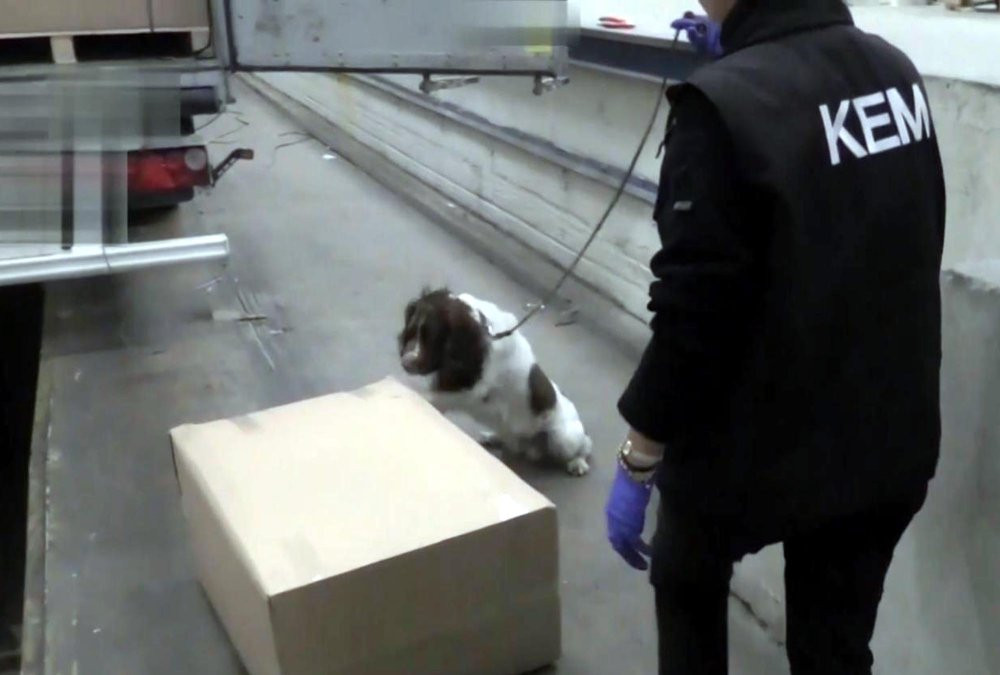 Kapıkule'de dev operasyon: Kilolarca ele geçirildi