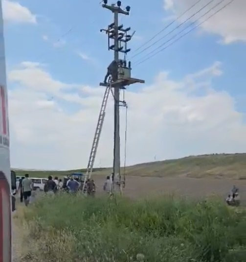 Elektrik direğindeki trafoda can pazarı