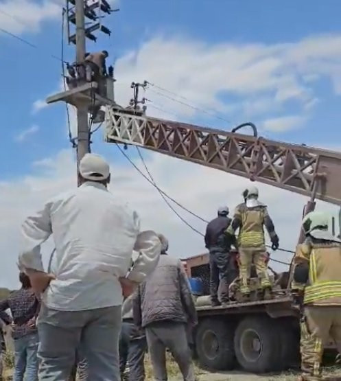 Elektrik direğindeki trafoda can pazarı