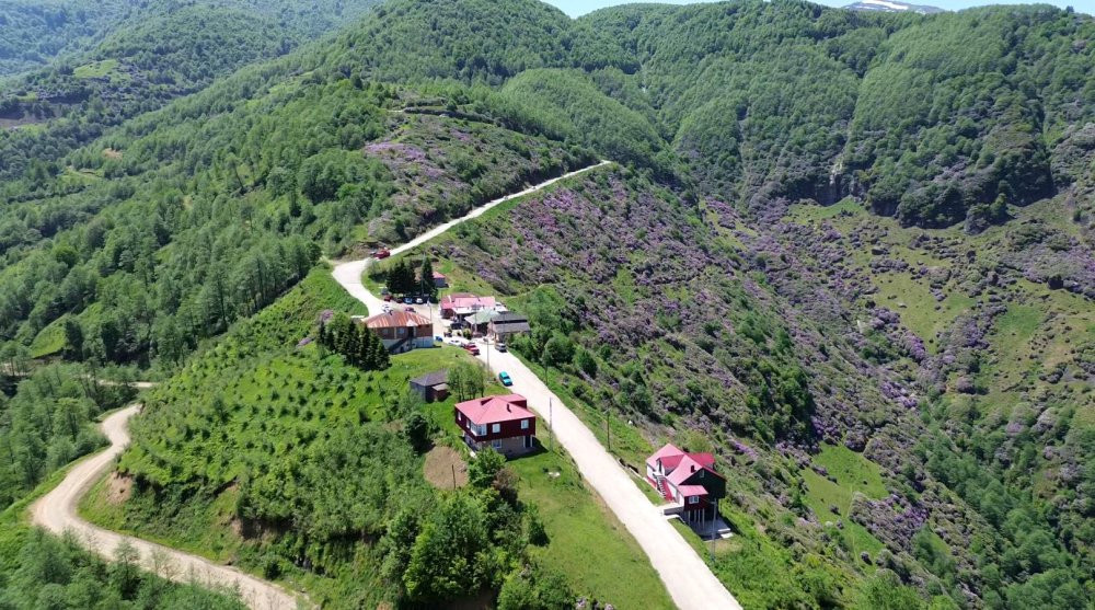 4 mevsim yaylalar! Öğretmenin dron hikâyesi