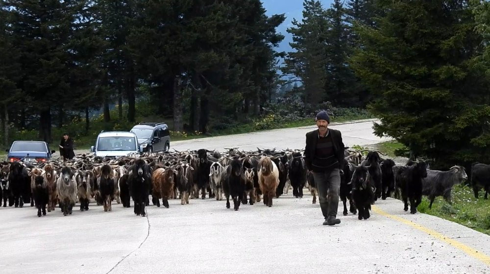 4 mevsim yaylalar! Öğretmenin dron hikâyesi