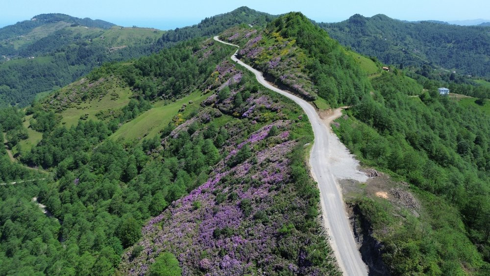 4 mevsim yaylalar! Öğretmenin dron hikâyesi