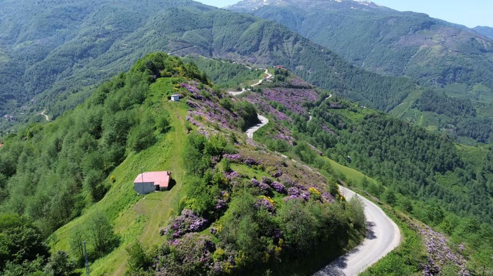 4 mevsim yaylalar! Öğretmenin dron hikâyesi