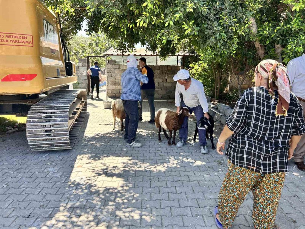 İskenderun’da yıkım gerginliği! Polis devreye girdi: 1 kişi yaralandı