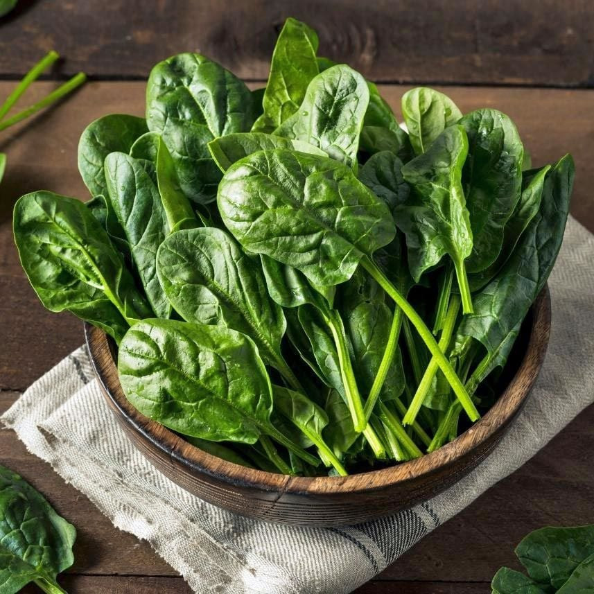 ispanak-tohumu-spinach-1.jpg