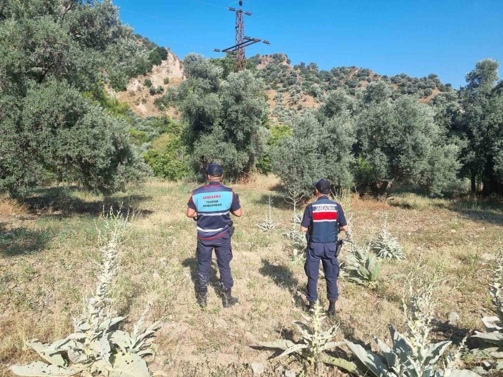 Mangal keyfi pahalıya patladı: 13 Bin TL ceza!