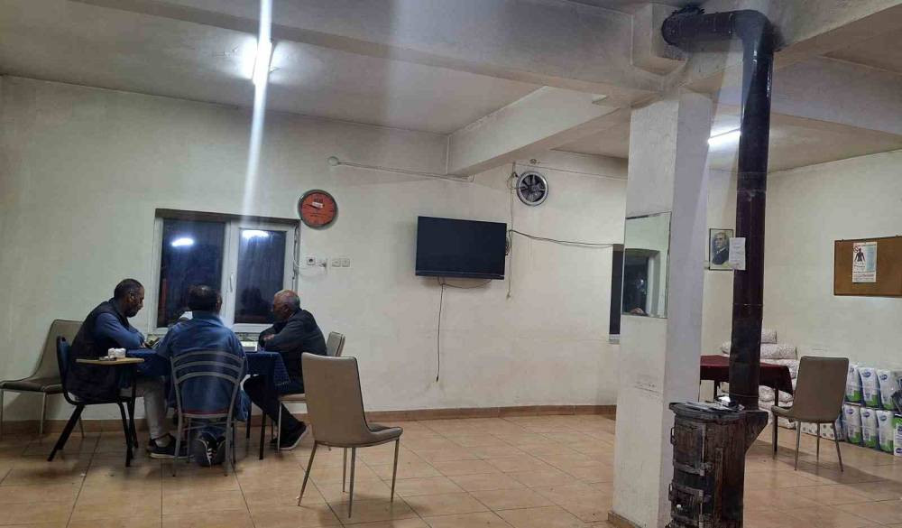 Kırlangıç ailesinin yuvası kahvehane oldu! O anlar yürekleri ısıttı