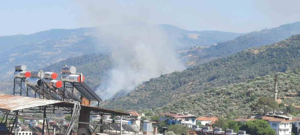 Aydın’da orman yangını (6 Temmuz 2025)