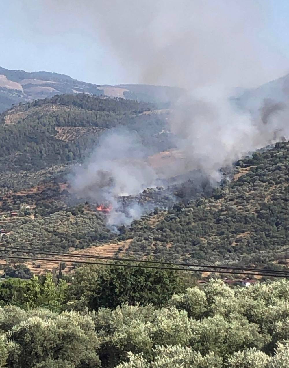 Aydın’da orman yangını (6 Temmuz 2025)