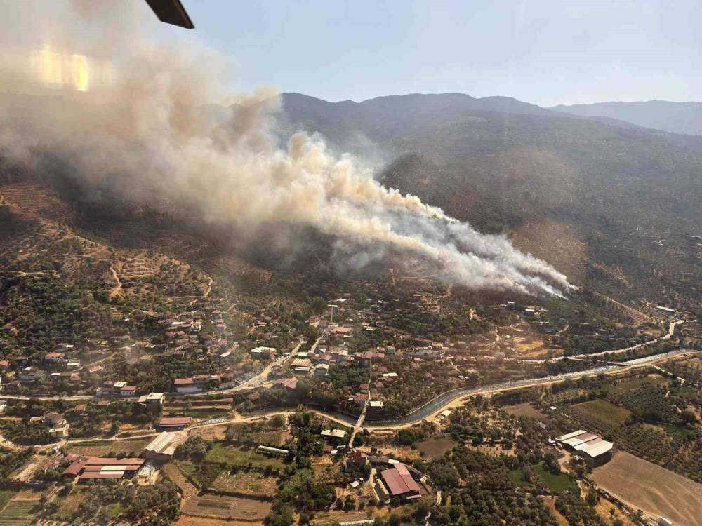 Aydın’da orman yangını (6 Temmuz 2025)