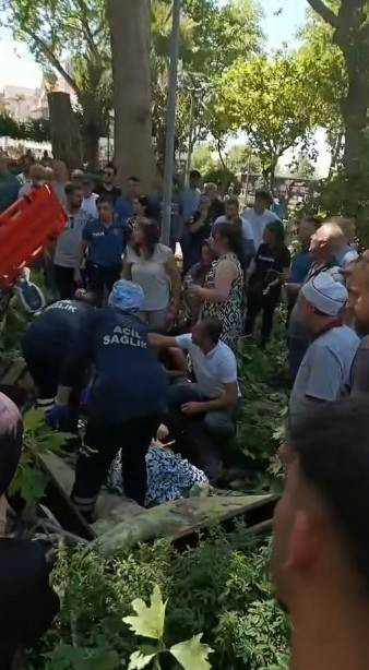 Çınar dalı vatandaşların üzerine düştü!  Yaralılar var